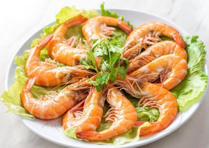 Boiled King Prawn 白灼虾